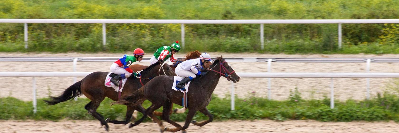 Chepstow Racecourse