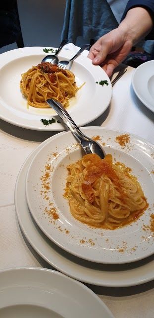 Olivo