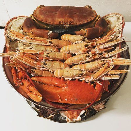 JR's