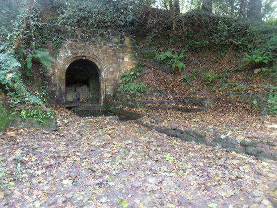 Summerfields Woods