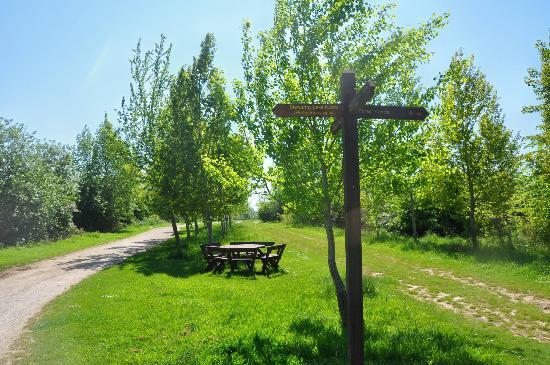 The Forest of Marston Vale