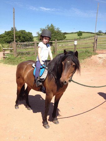 Hayes Farm Stables