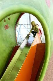 Climbers And Creepers