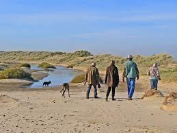 Holkham Bay
