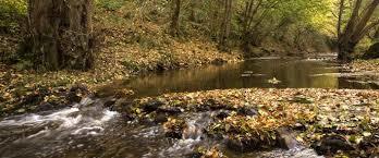 The Knapp And Papermill Nature Reserve