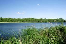 Alderfen Broad