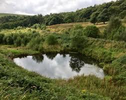 Lightwood Reservoir