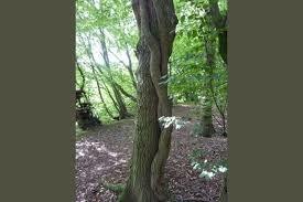 The Great Ashby District Park