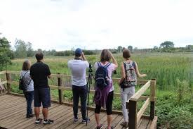 Fishlake Central Viewing Screen