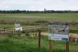 Willow Tree Fen Nature Reserve