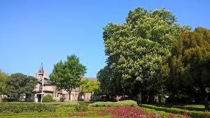 Mayer Park