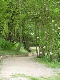 Ivel Springs Nature Reserve