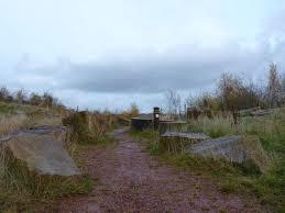 Whitfield Valley Nature Reserve