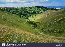 Barton Hills