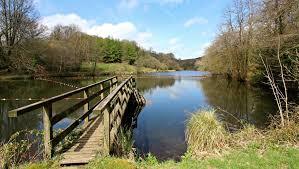 Otterhead Lakes