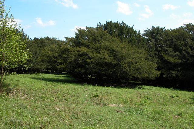 Goosehill Camp