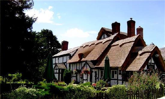 The Thatch Inn