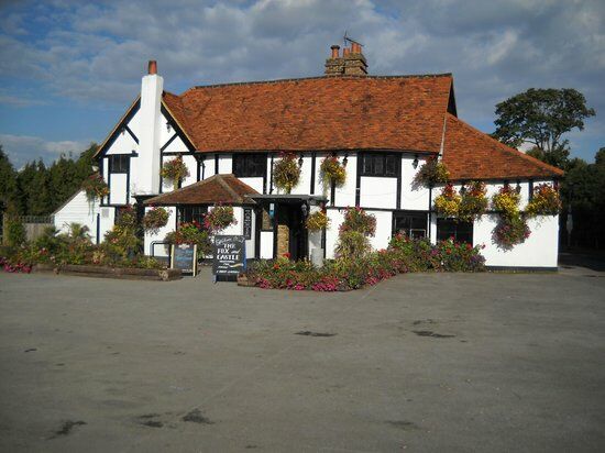 The Fox and Castle