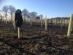 Langley Vale Centenary Wood