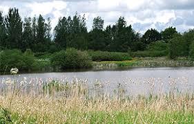 Low Hall Local Nature Reserve