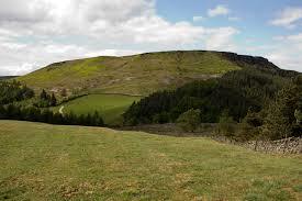 Hasty Bank