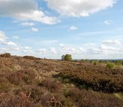 Gentleshaw Common