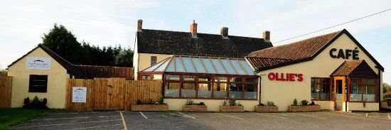 Ollie's Cafe