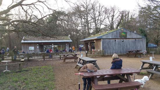The Beeches Cafe