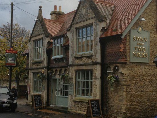 The Swan with Two Nicks