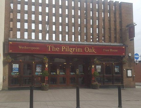 The Pilgrim Oak