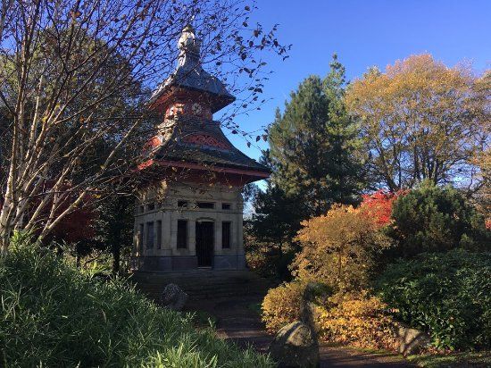 Alexandra Park