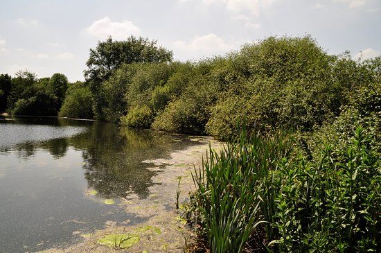 Belhus Woods Country Park