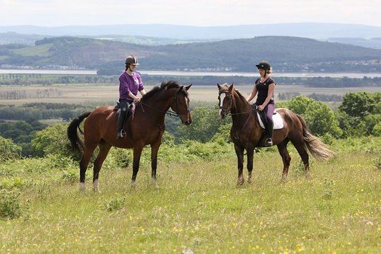 Witherslack Hall Equestrian Centre