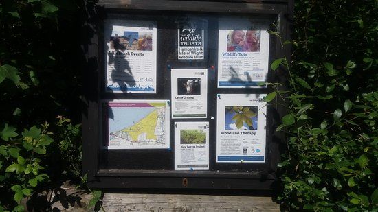 Bouldnor Forest