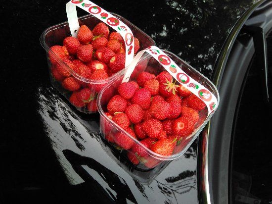Mclauchlan's of Boxted Berry Farm