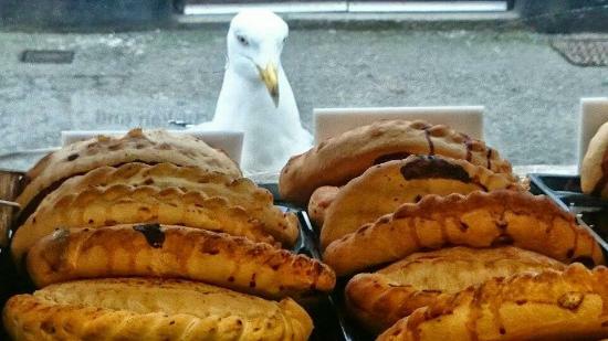 Polperro Bakery & Cafe