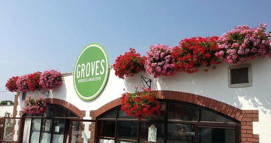 Citrus Grove