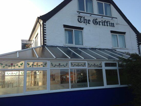 The Griffin